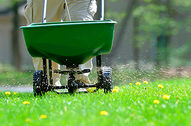 A background image of seed and fertilizer being spread by Framptons Property Services Weed and Feed Program.