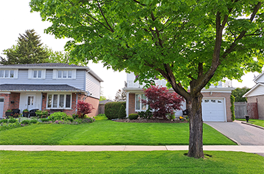 Scenic view of a beautiful cut lawn done by Framptons Property Services lawn maintenance program.