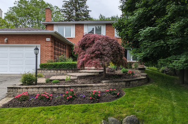 Beautifully maintained garden done by Framptons Property Services Garden Maintenance program.